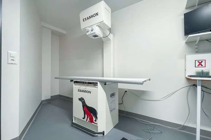 Tierarztpraxis in der Ebni GmbH — Tierarzt in Pfungen, Zürich. Bewertung 4.5/5.