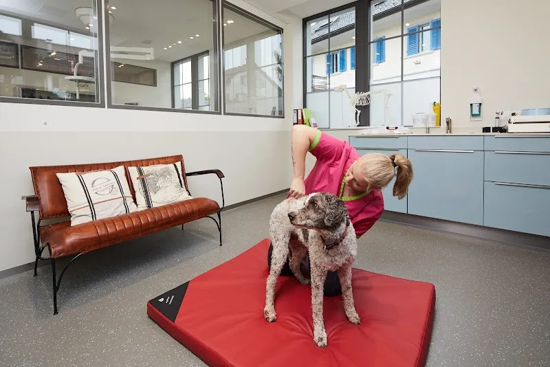 Tierarztpraxis zur Schmiede GmbH — Tierarzt in Henggart, Zürich. Bewertung 5.0/5.