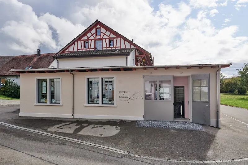Tierarztpraxis zur Schmiede GmbH — Veterinarian, Henggart, Zurich. Foto 3