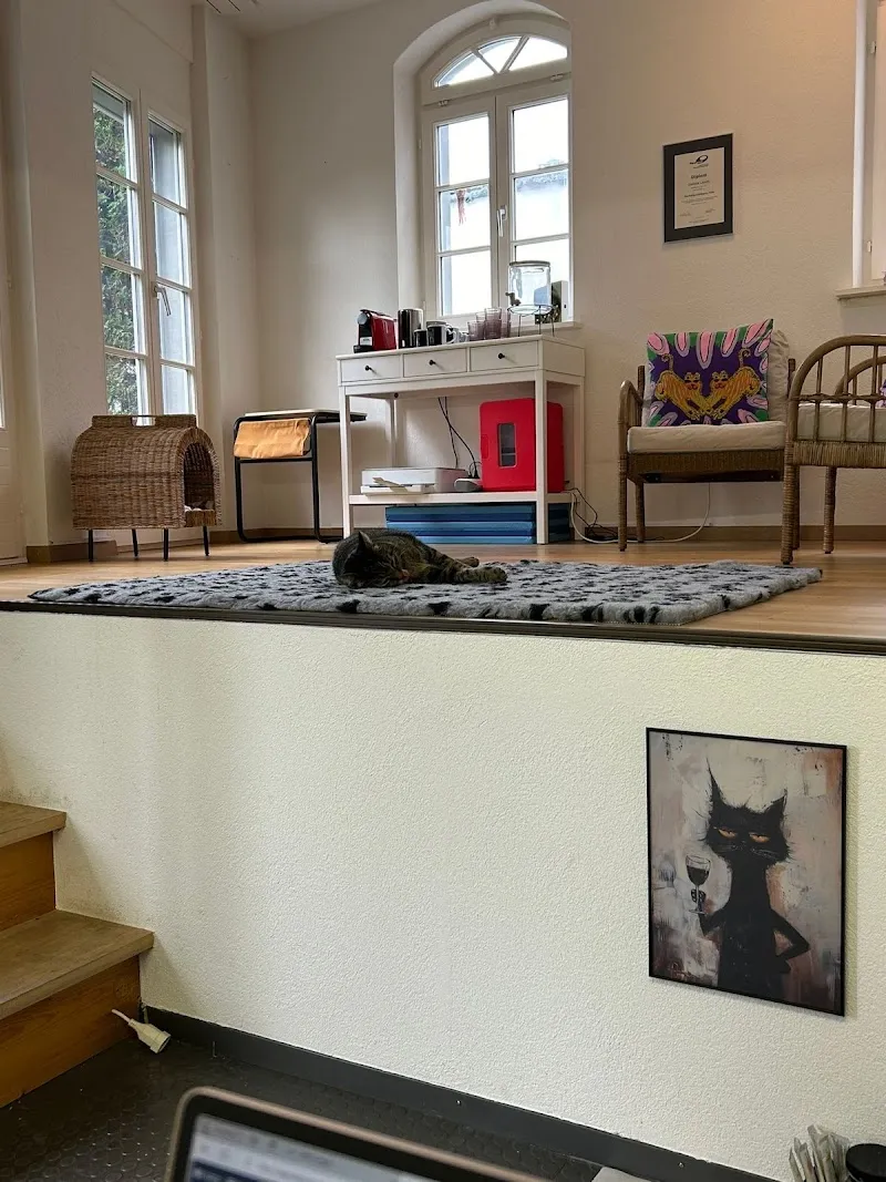 Tierheilpraxis Landis — Tierdienste in Meilen, Zürich. Bewertung 5.0/5.