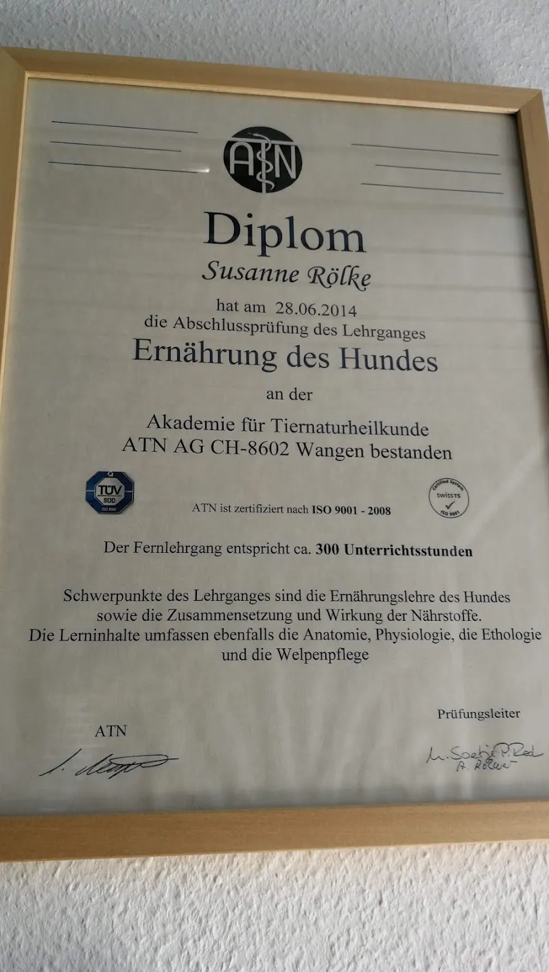 Tierheilpraxis best friends Susanne Rölke — Tierarzt, Wetzikon, Zürich. Foto 2