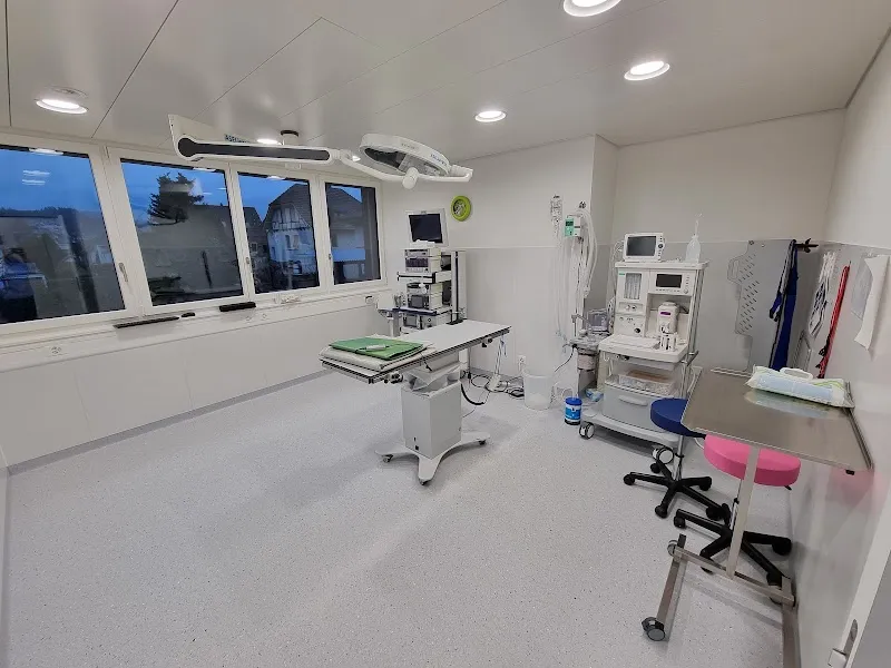 Tierklinik Mittelland AG — Tierarzt, Oftringen, Aargau. Foto 2
