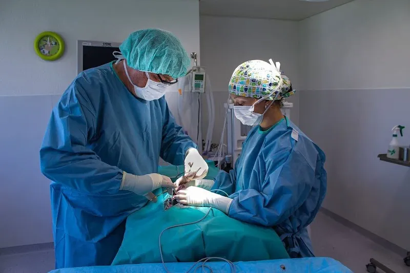 Tierklinik Mittelland AG — Tierarzt, Oftringen, Aargau. Foto 3