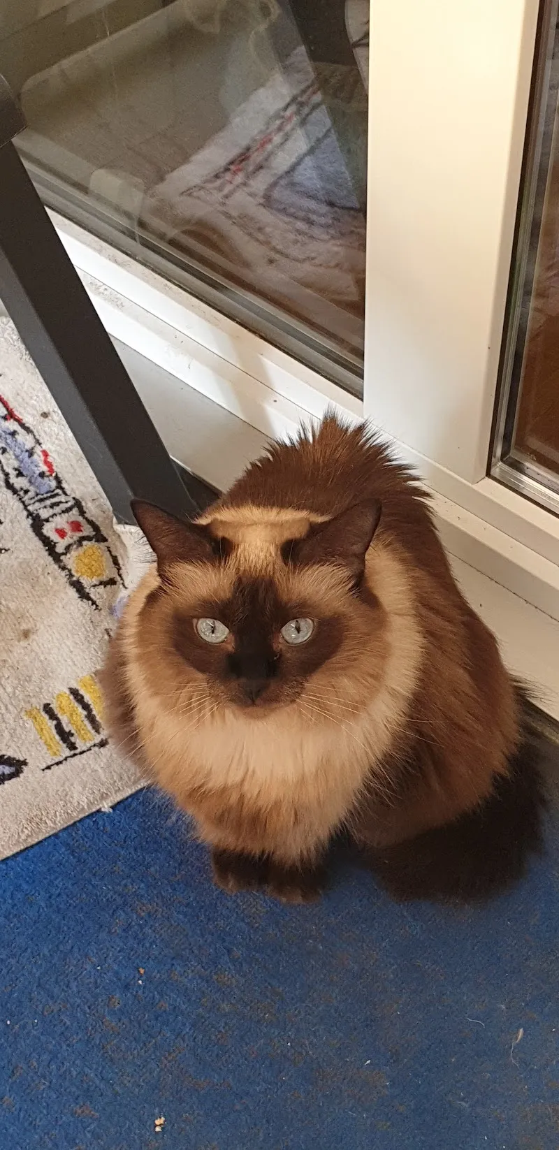 Tierklinik Zürich Ost — Vétérinaire, Dietlikon, Zurich. Foto 3