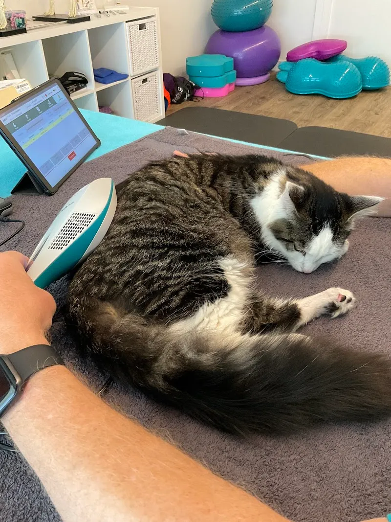 Tierphysio-Praxis Oberland GmbH — Tierdienste in Fällanden, Zürich. Bewertung 5.0/5.