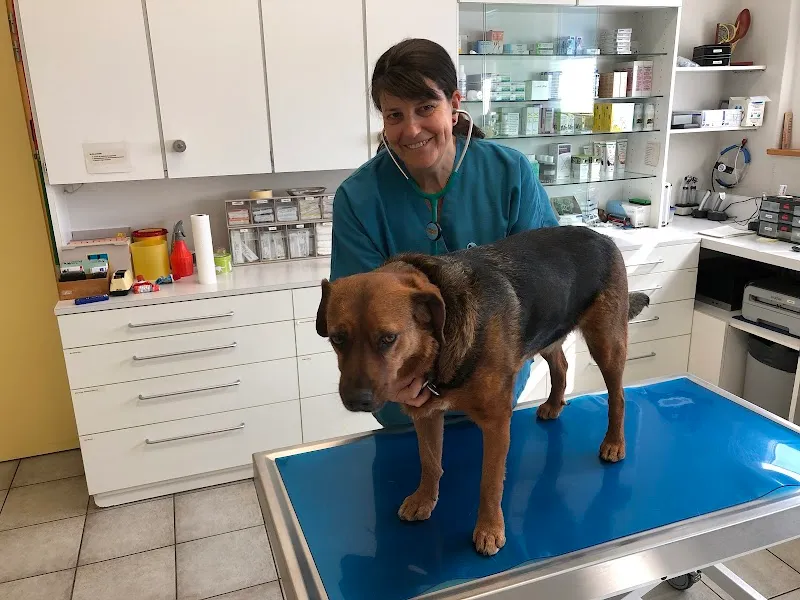 Tierpsychiatrie — Vétérinaire, Aathal-Seegräben, Zurich. Foto 2