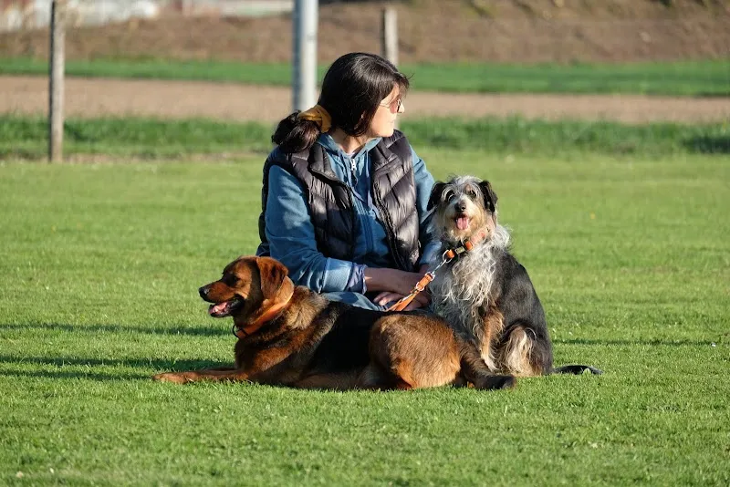 Tierpsychiatrie — Vétérinaire, Aathal-Seegräben, Zurich. Foto 3
