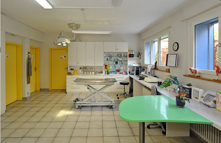 Tierärzte Team Aurora AG — Tierarzt, Fehraltorf, Zürich. Foto 2