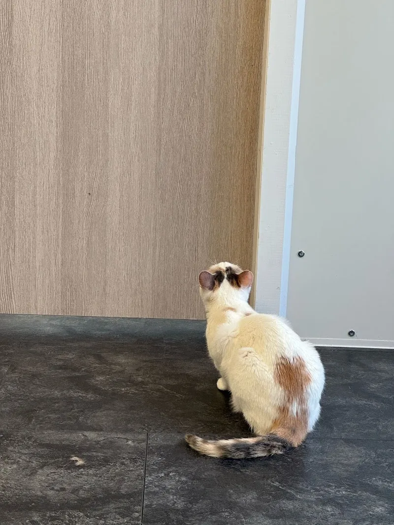 VET Zentrum Zürich Letzigrund — Tierarzt in Zürich, Zürich. Bewertung 4.1/5.