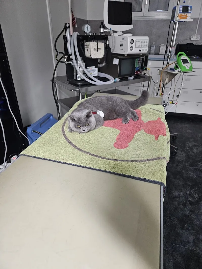 VET Zentrum Zürich Letzigrund — Vétérinaire, Zürich, Zurich. Foto 2