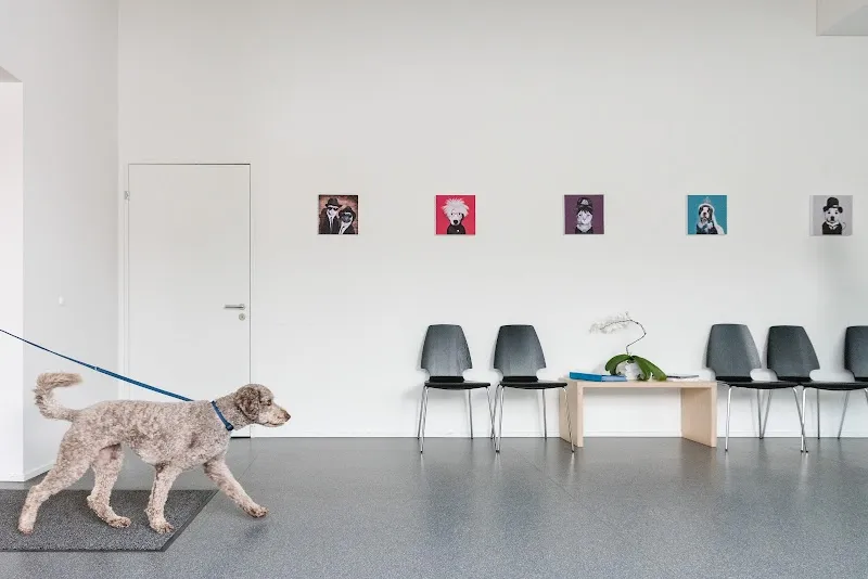 Vet Zentrum AG — Veterinarian, Pfungen, Zurich. Foto 2