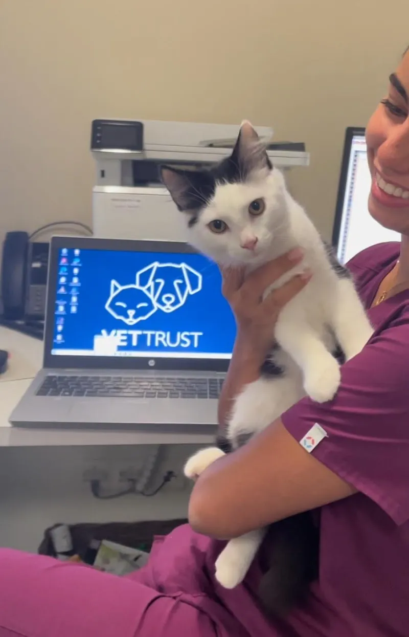 VetTrust Kleintierpraxis Aabach Uster — Tierarzt in Uster, Zürich. Bewertung 4.6/5.