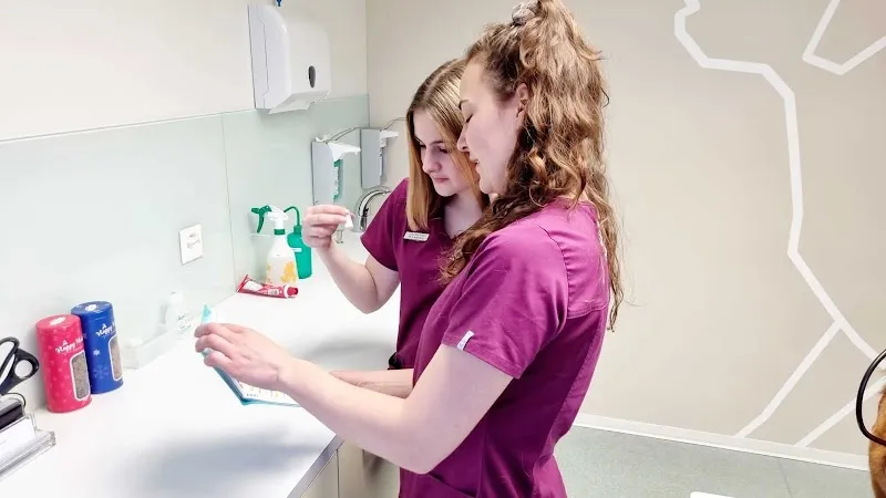 VetTrust Kleintierpraxis Aabach Uster — Vétérinaire, Uster, Zurich. Foto 2