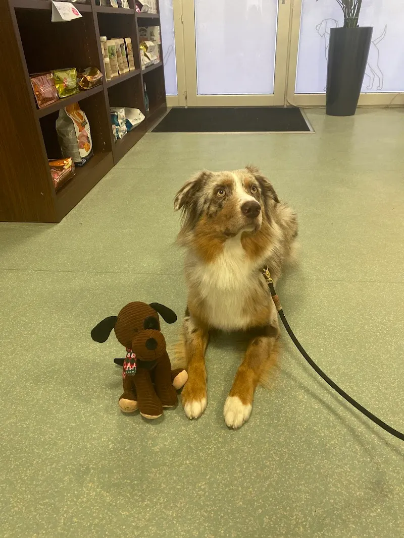 VetTrust Kleintierpraxis Aabach Uster — Vétérinaire, Uster, Zurich. Foto 3