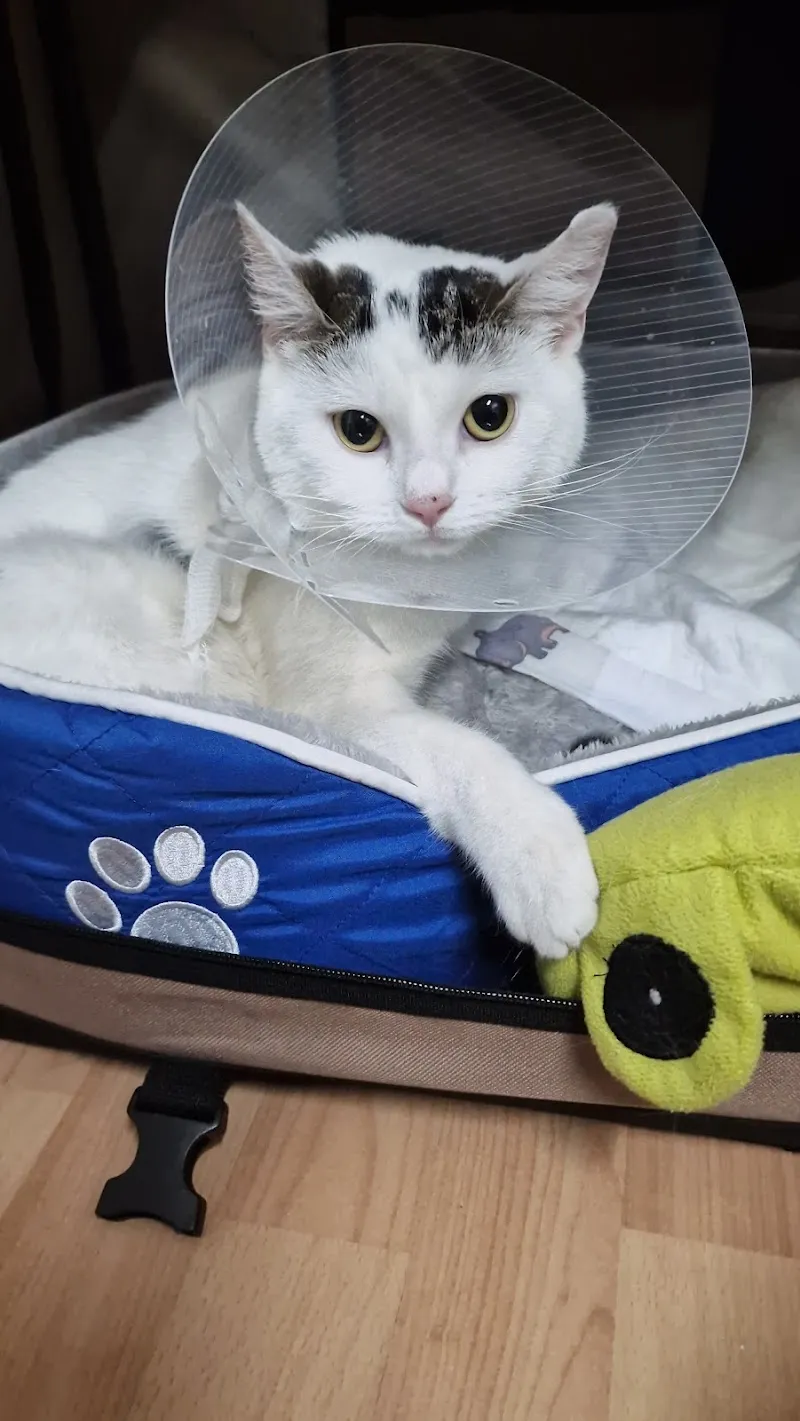 VetTrust Kleintierpraxis Schlieren — Tierarzt in Schlieren, Zürich. Bewertung 4.2/5.