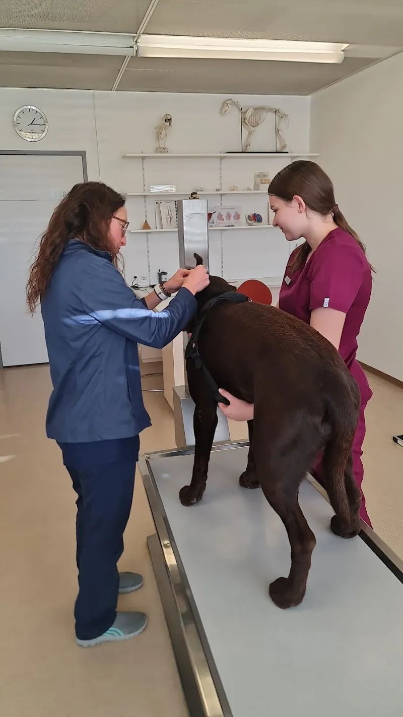 VetTrust Kleintierpraxis Winterthur im Zentrum — Vétérinaire, Winterthur, Zurich. Foto 2