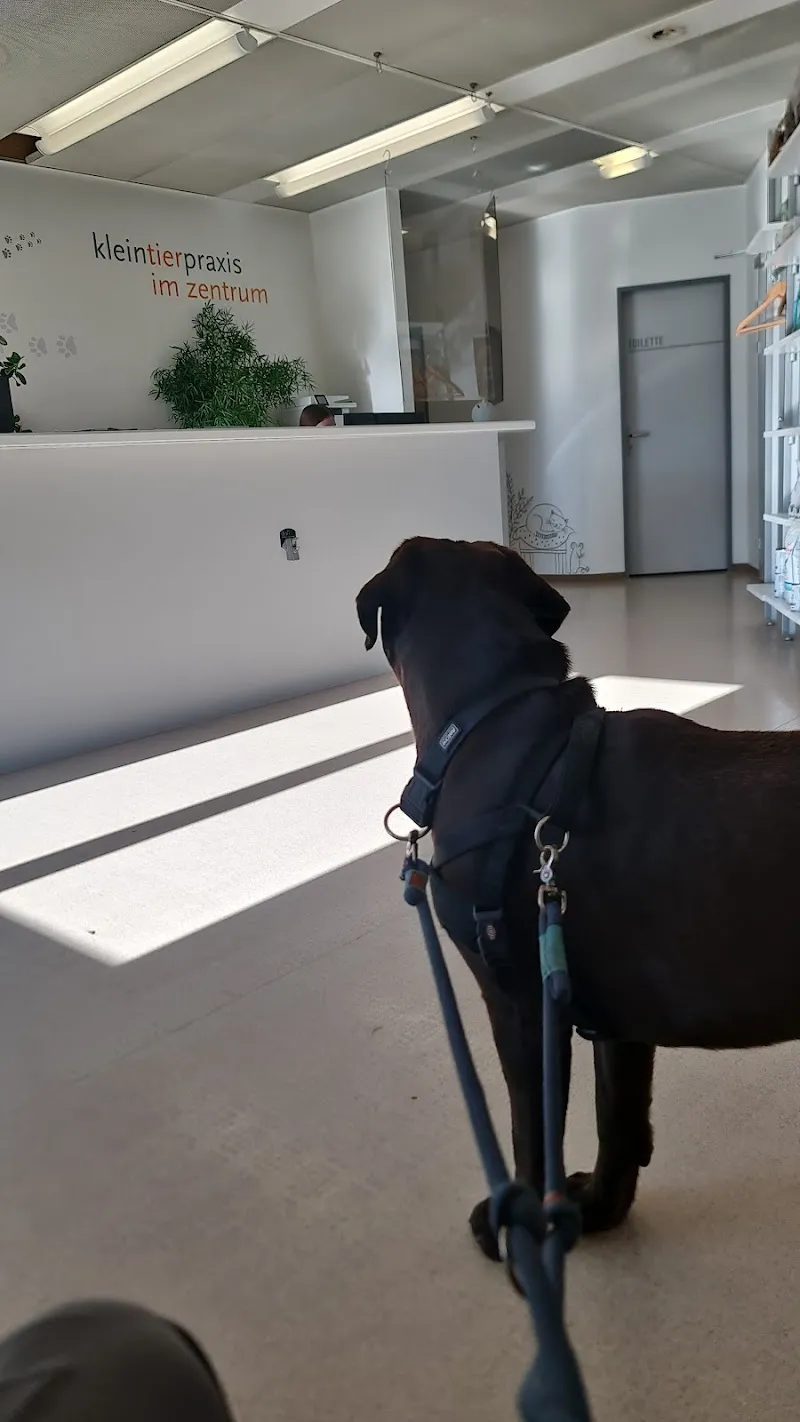 VetTrust Kleintierpraxis Winterthur im Zentrum — Vétérinaire, Winterthur, Zurich. Foto 3