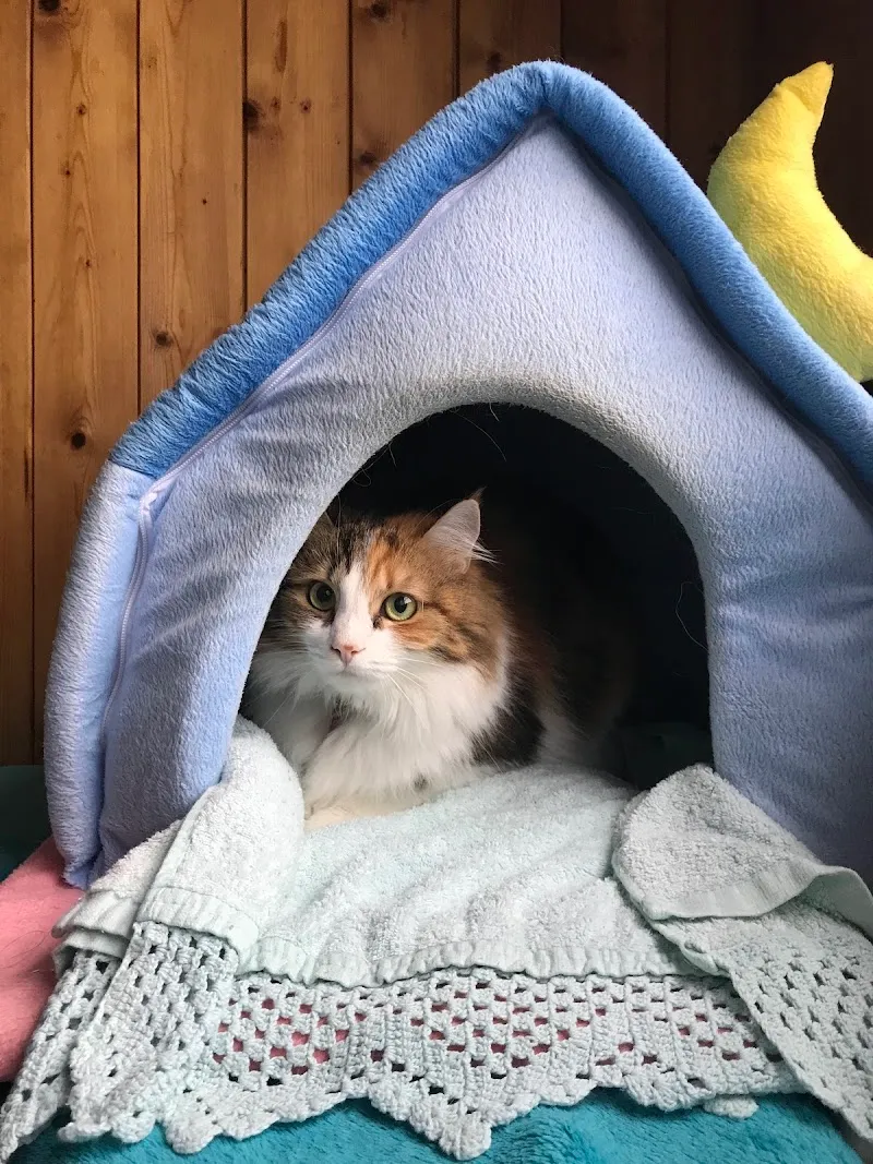 VetTrust Tierklinik Oberland, Pfäffikon — Vétérinaire, Pfäffikon, Zurich. Foto 2