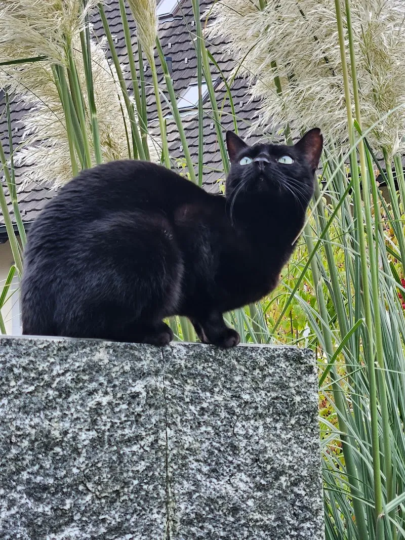 VetTrust Tierklinik Oberland, Pfäffikon — Vétérinaire, Pfäffikon, Zurich. Foto 3
