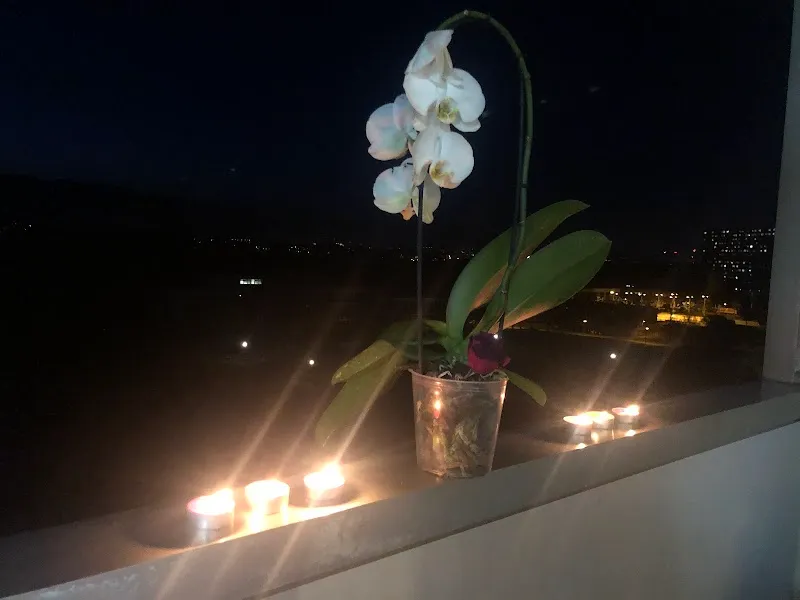 Félisitting — Pensione per gatti, Vernier, Ginevra. Foto 3