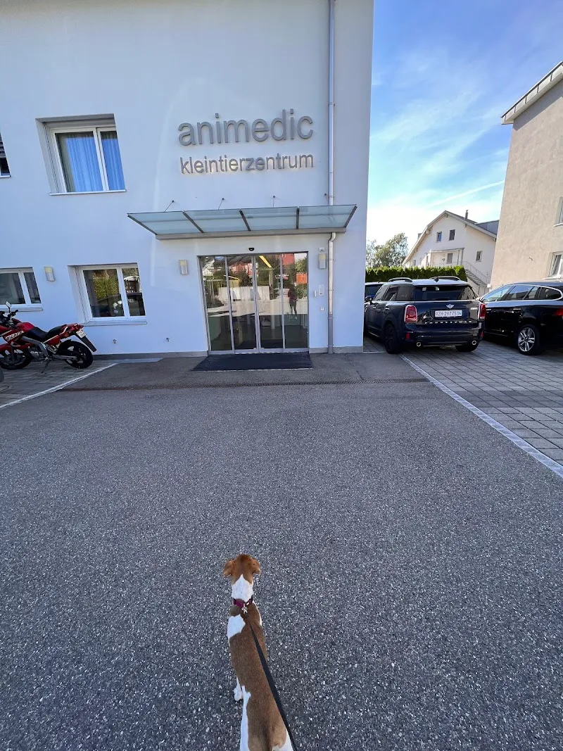 animedic kleintierzentrum ag — Vétérinaire, Berikon, Argovie. Foto 3