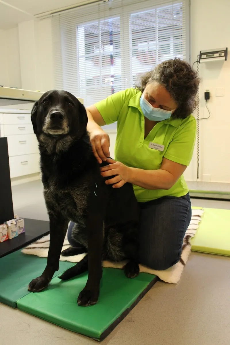 haustierpraxis in hausen a.a. — Tierarzt, Hausen am Albis, Zürich. Foto 2