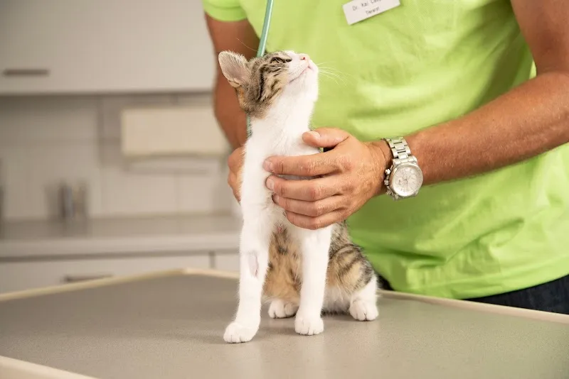 haustierpraxis in hausen a.a. — Tierarzt, Hausen am Albis, Zürich. Foto 3