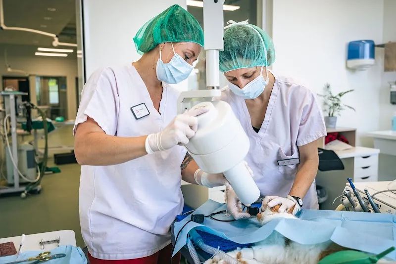 wintivets AG Tierklinik — Tierarzt in Winterthur, Zürich. Bewertung 4.7/5.