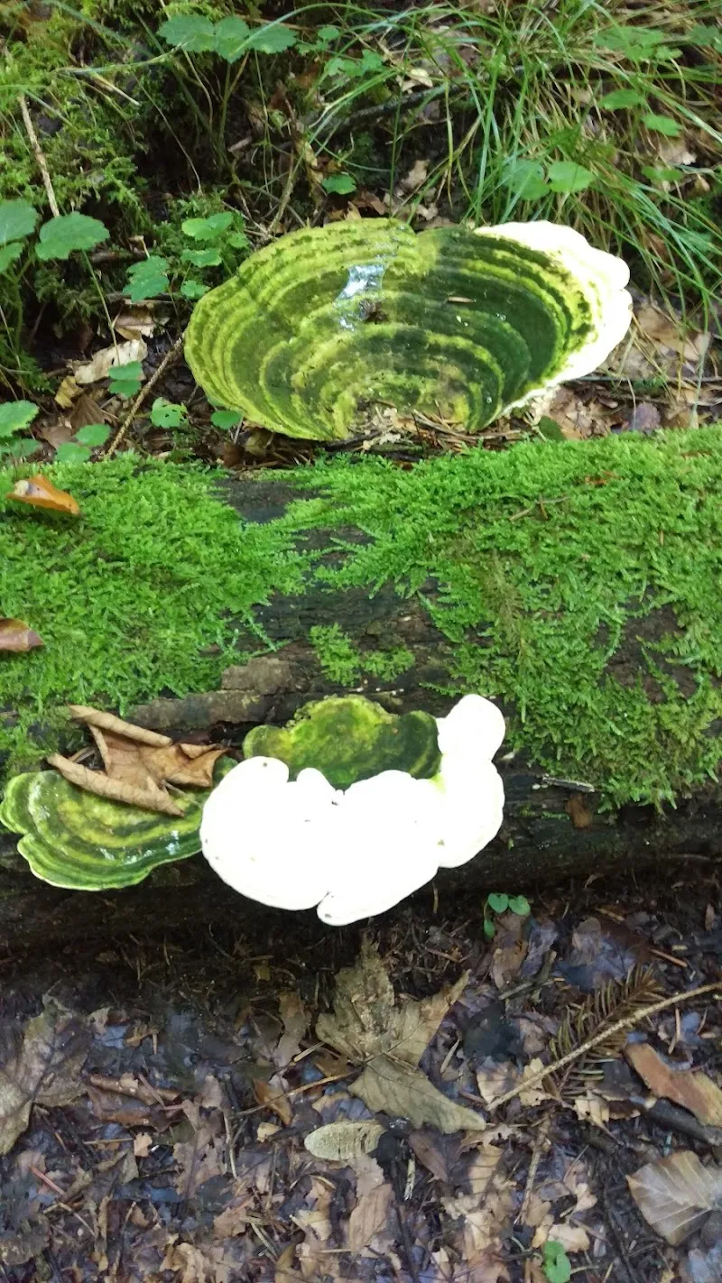 Tierschutzverein — Tierheim in Herisau, St. Gallen. Bewertung 2.5/5.