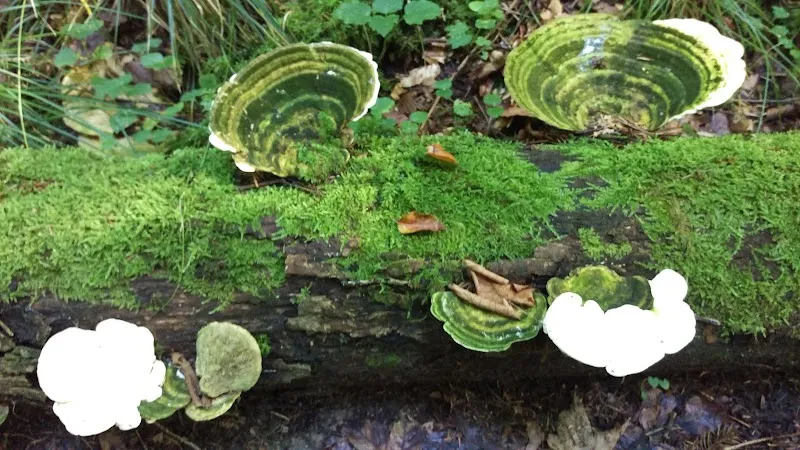 Tierschutzverein — Tierheim, Herisau, St. Gallen. Foto 2