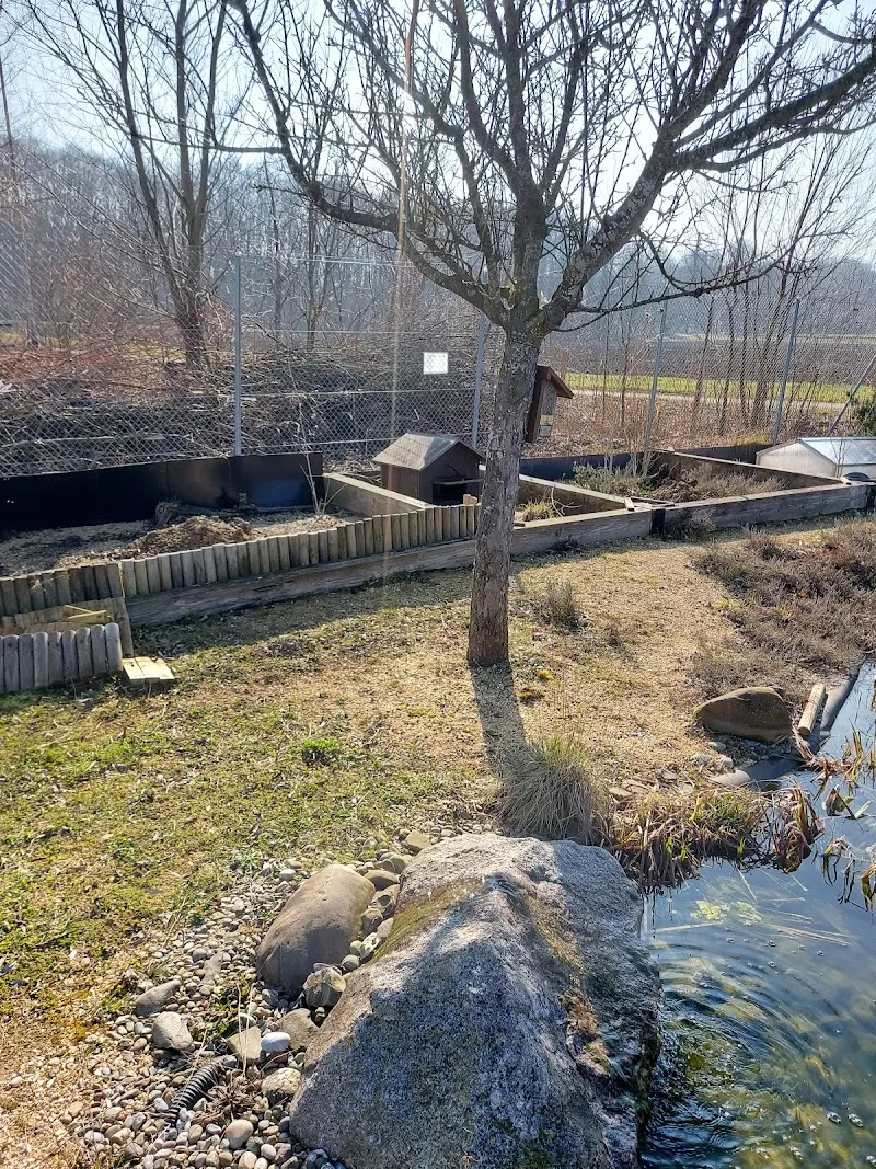 Wildvogel- und Reptilienpflegestation des Tierschutzverein Kreuzlingen — Tierheim, Kreuzlingen, Thurgau. Foto 2