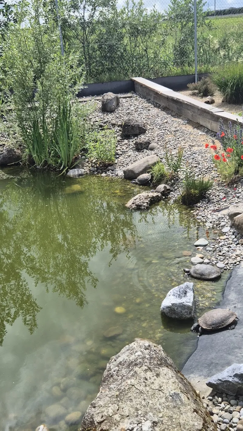 Wildvogel- und Reptilienpflegestation des Tierschutzverein Kreuzlingen — Tierheim, Kreuzlingen, Thurgau. Foto 3