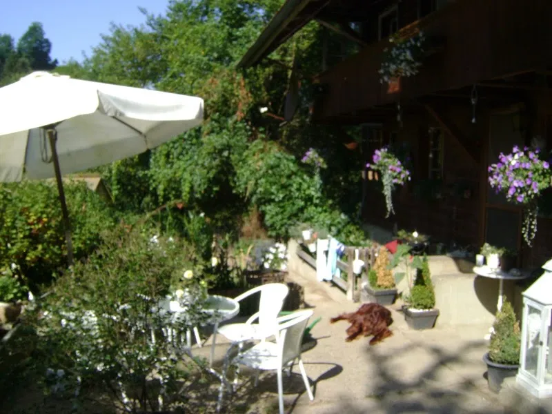 Mrs. Stephanie Frigeri Tierheim — Tierheim in Rüeggisberg, Bern. Bewertung 5.0/5.