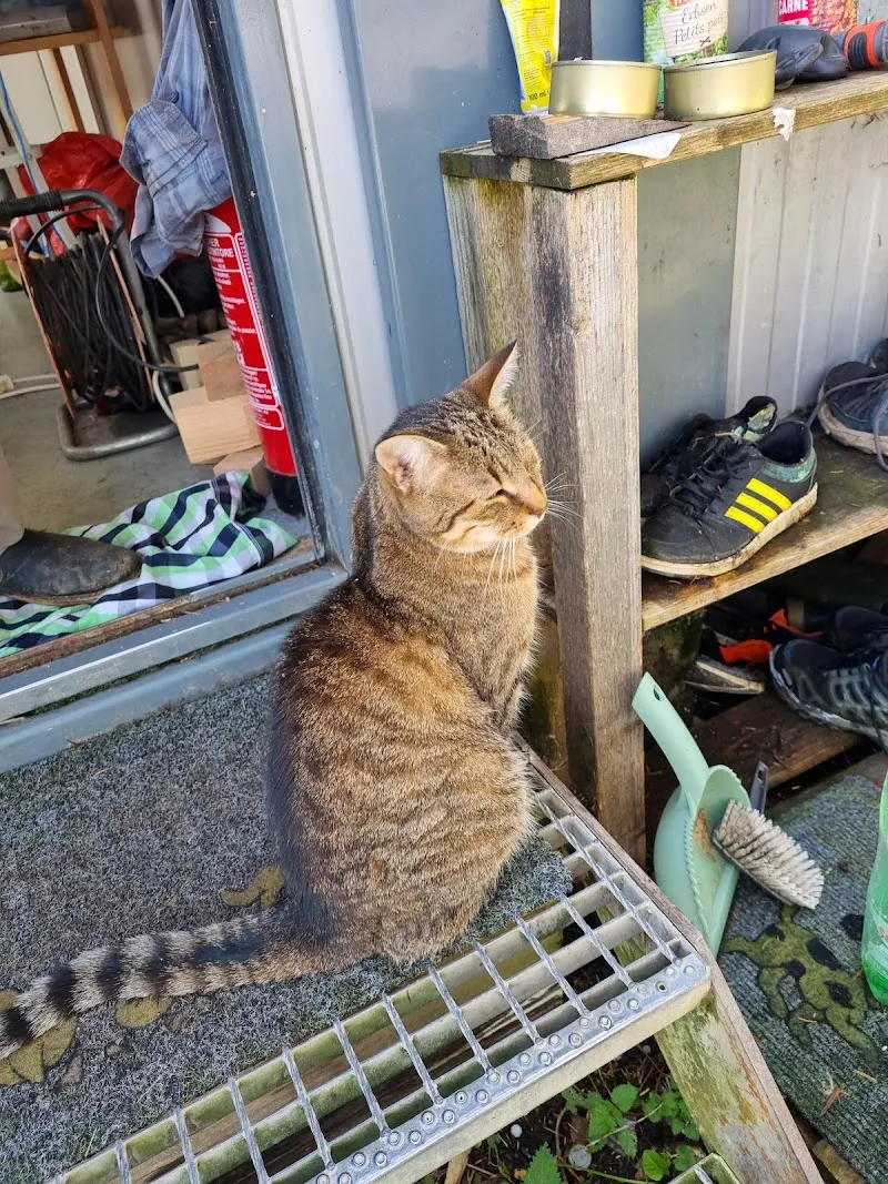 Tierasyl Hübeli — Tierheim, Hergiswil bei Willisau, Luzern. Foto 2