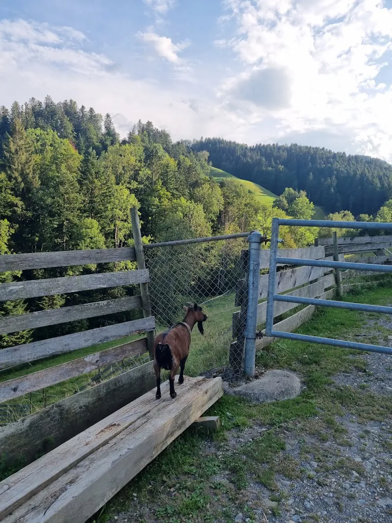 Tierasyl Hübeli — Tierheim, Hergiswil bei Willisau, Luzern. Foto 3