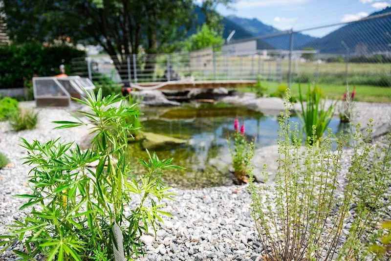 Tierheim + Tierhotel Arche — Refuge, Chur, Grisons. Foto 2