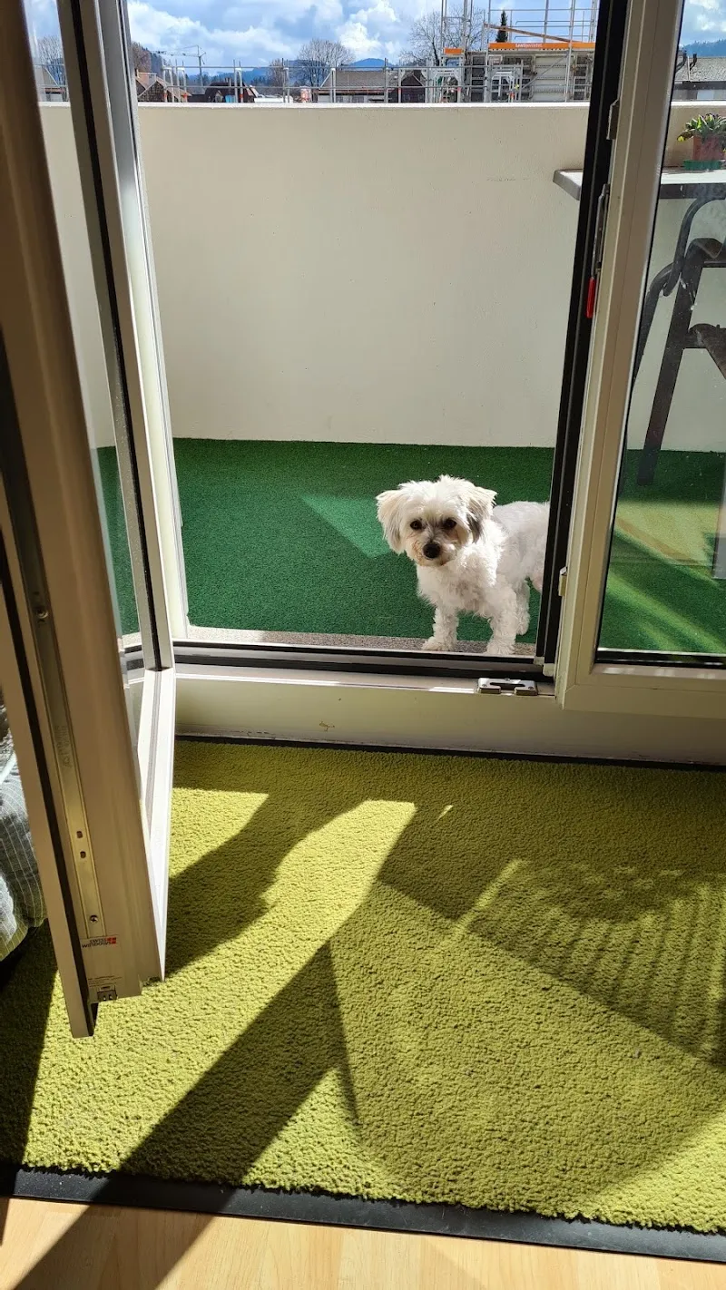 Tierheim Emmental — Tierheim, Rüegsau, Bern. Foto 3