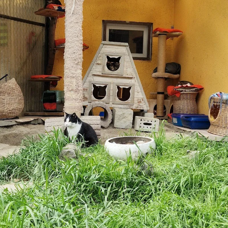 Tierheim Gals — Tierheim, Gals, Bern. Foto 3