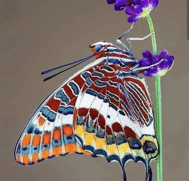 Tierheim Pfoetlihuus — Tierheim in Höchstetten, Bern. Bewertung 5.0/5.