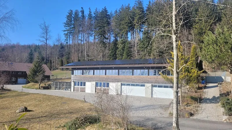 Tierheim Tannenboden — Refuge, Utzigen, Berne. Foto 2
