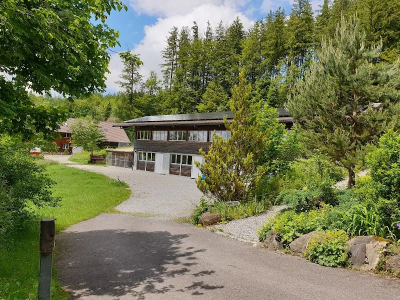 Tierheim Tannenboden — Refuge, Utzigen, Berne. Foto 3