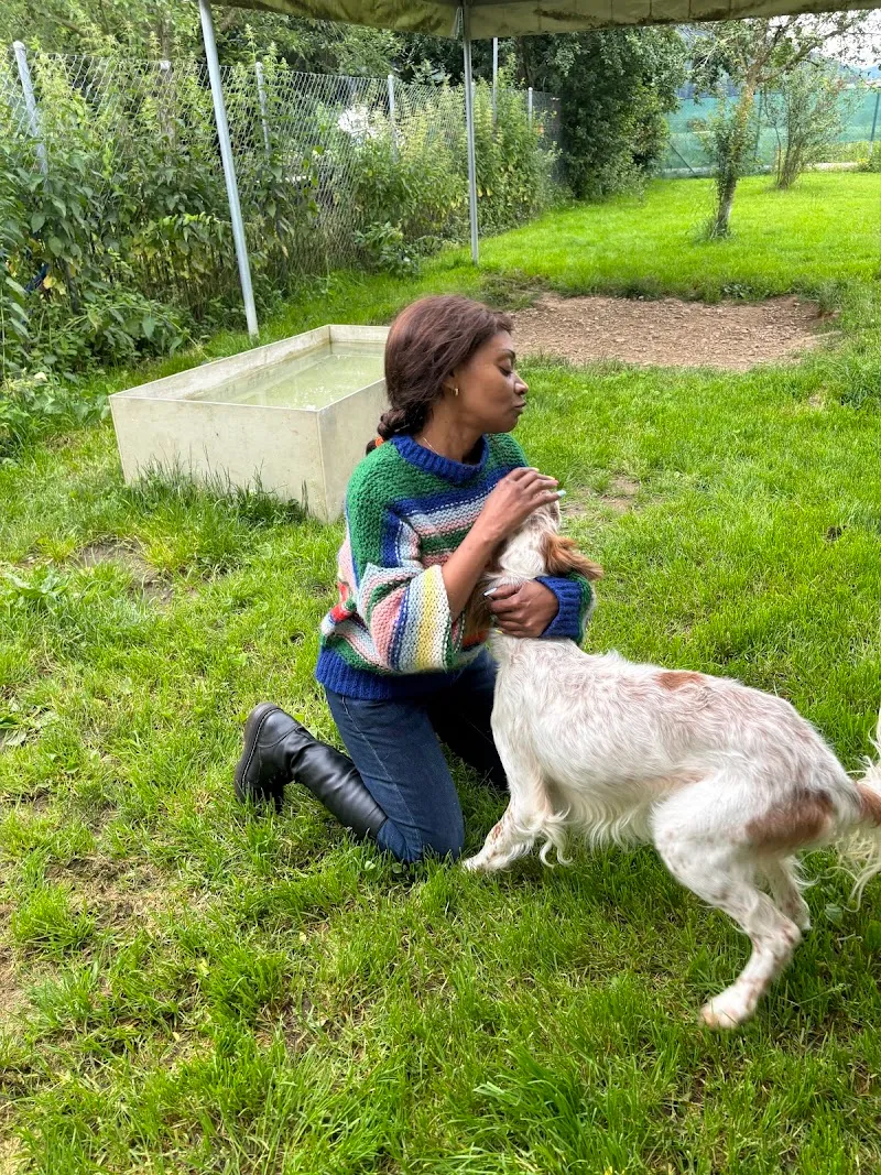 Tierschutz Tierheim Arolfingen — Tierheim in Rothrist, Aargau. Bewertung 4.2/5.