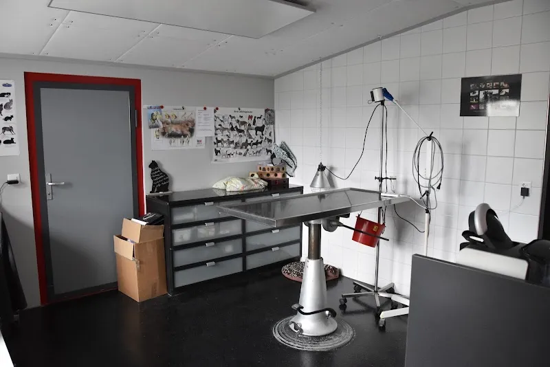 Tierschutz-Region-Thun — Tierheim in Unterlangenegg, Bern. Bewertung 4.5/5.