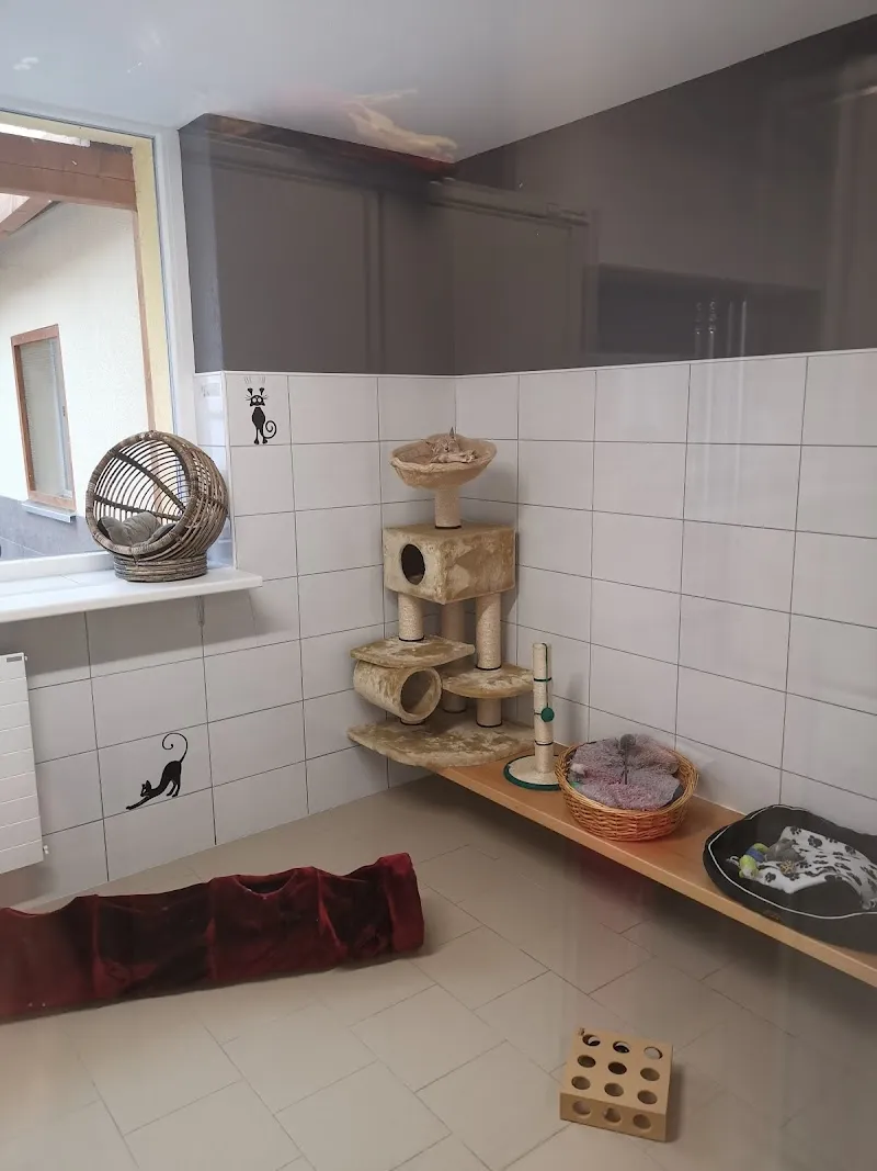 Fondation Neuchâteloise d'Accueil pour Animaux — Refuge, Colombier, Neuchâtel. Foto 2