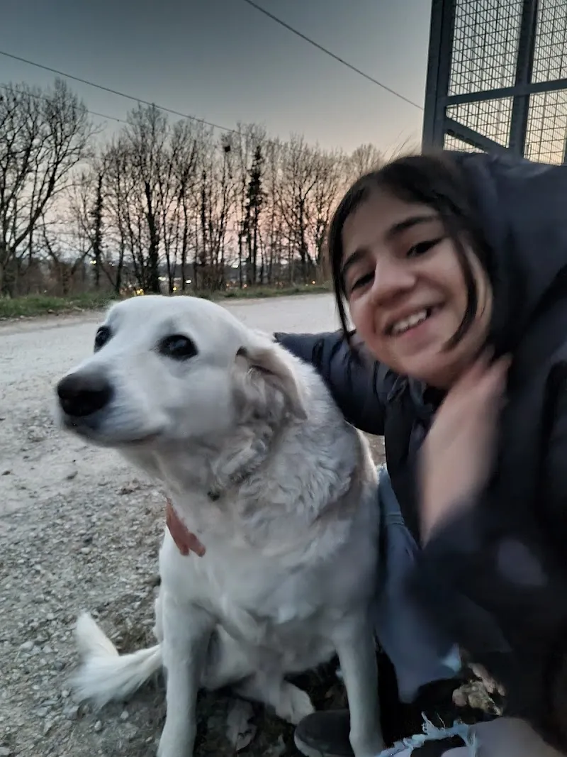 Fondation Neuchâteloise d'Accueil pour Animaux — Refuge, Colombier, Neuchâtel. Foto 3