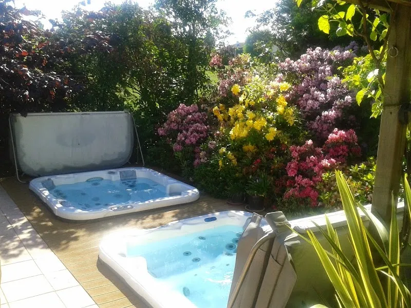 My Wellness World Sàrl - Le professionnel du spa depuis 1995 — Tierheim, Gurwolf, Freiburg. Foto 3