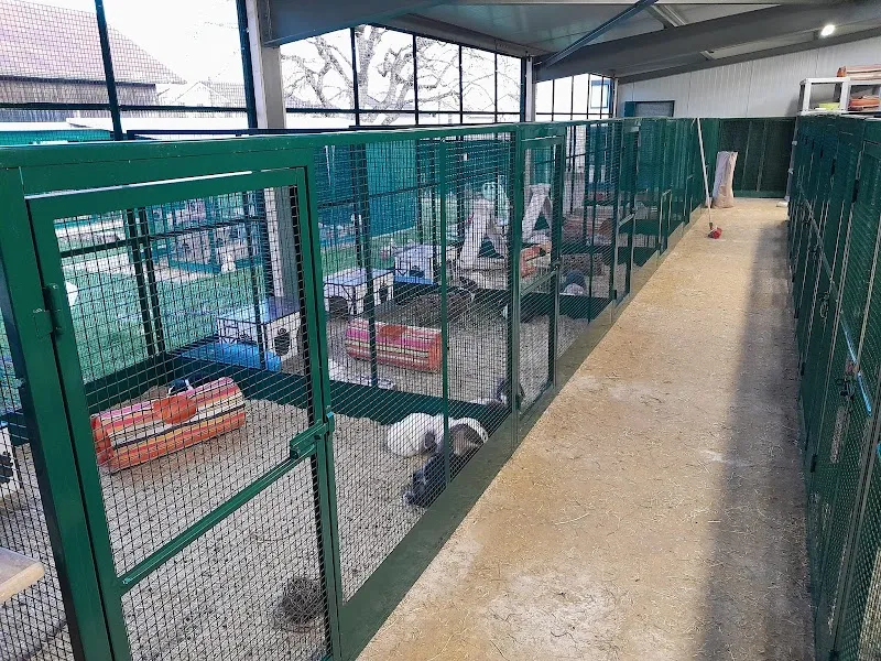 Passion Petits Animaux - Pension, élevage, refuge et magasin à Ballens / lapins nains, cochons d'Inde et chats Ragdolls — Tierheim in Ballens, Waadt. Bewertung 4.7/5.