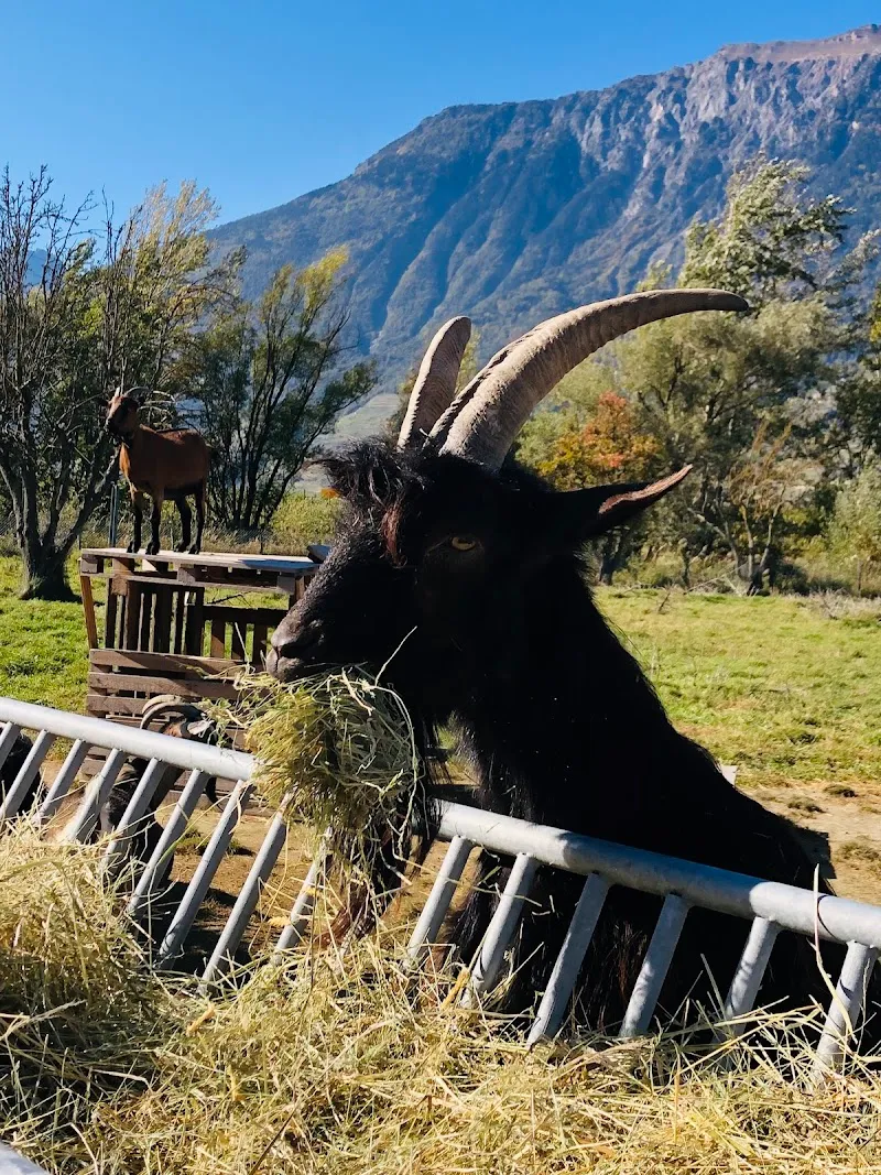Refuge La Bouche qui rit — Refuge, Saxon, Valais. Foto 2