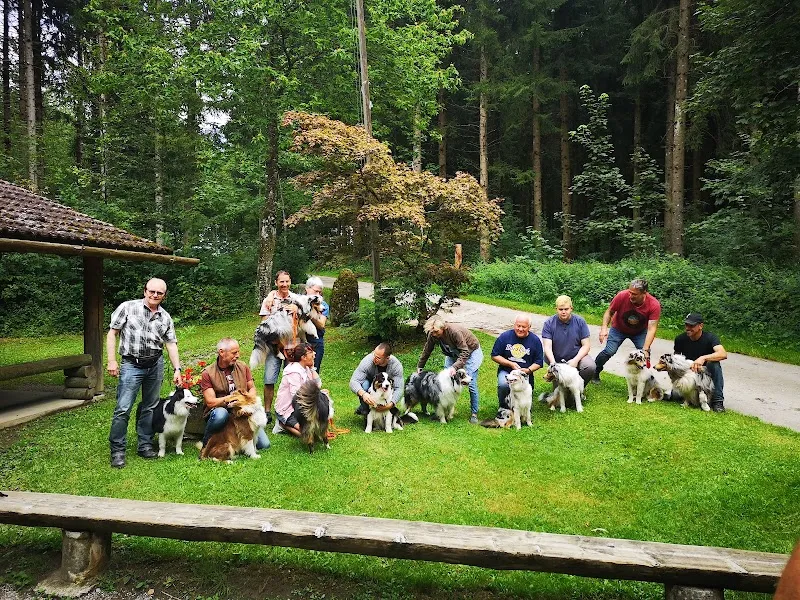 Refuge Villars-Mendraz — Tierheim, Villars-Mendraz, Waadt. Foto 3