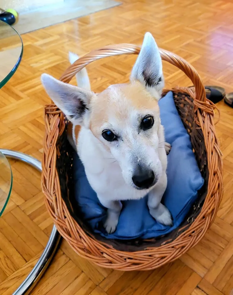 Refuge de Cottendart — Tierheim, Colombier, Neuenburg. Foto 3